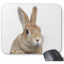 Amazon.co.jp: ちょい横向きのウサギの顔のマウスパッド (1匹